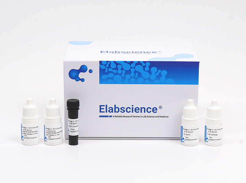 2-step plus Poly-HRP Anti Rabbit IgG Detection System (With DAB Solution) - 1