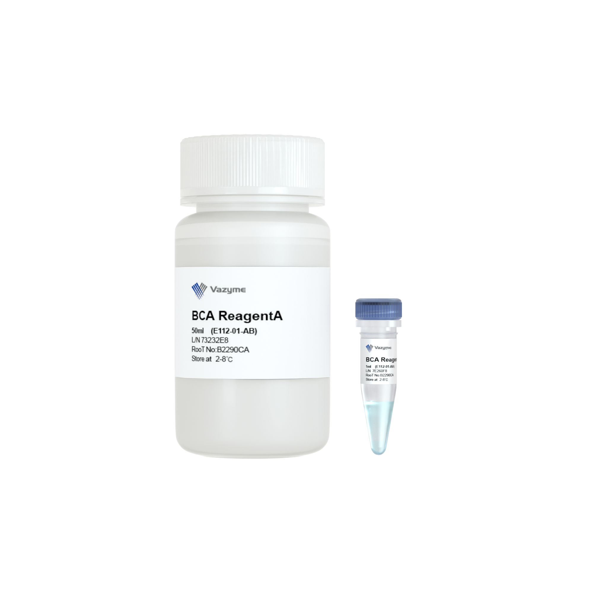 E112-01 | BCA Protein Quantification Kit Clinisciences