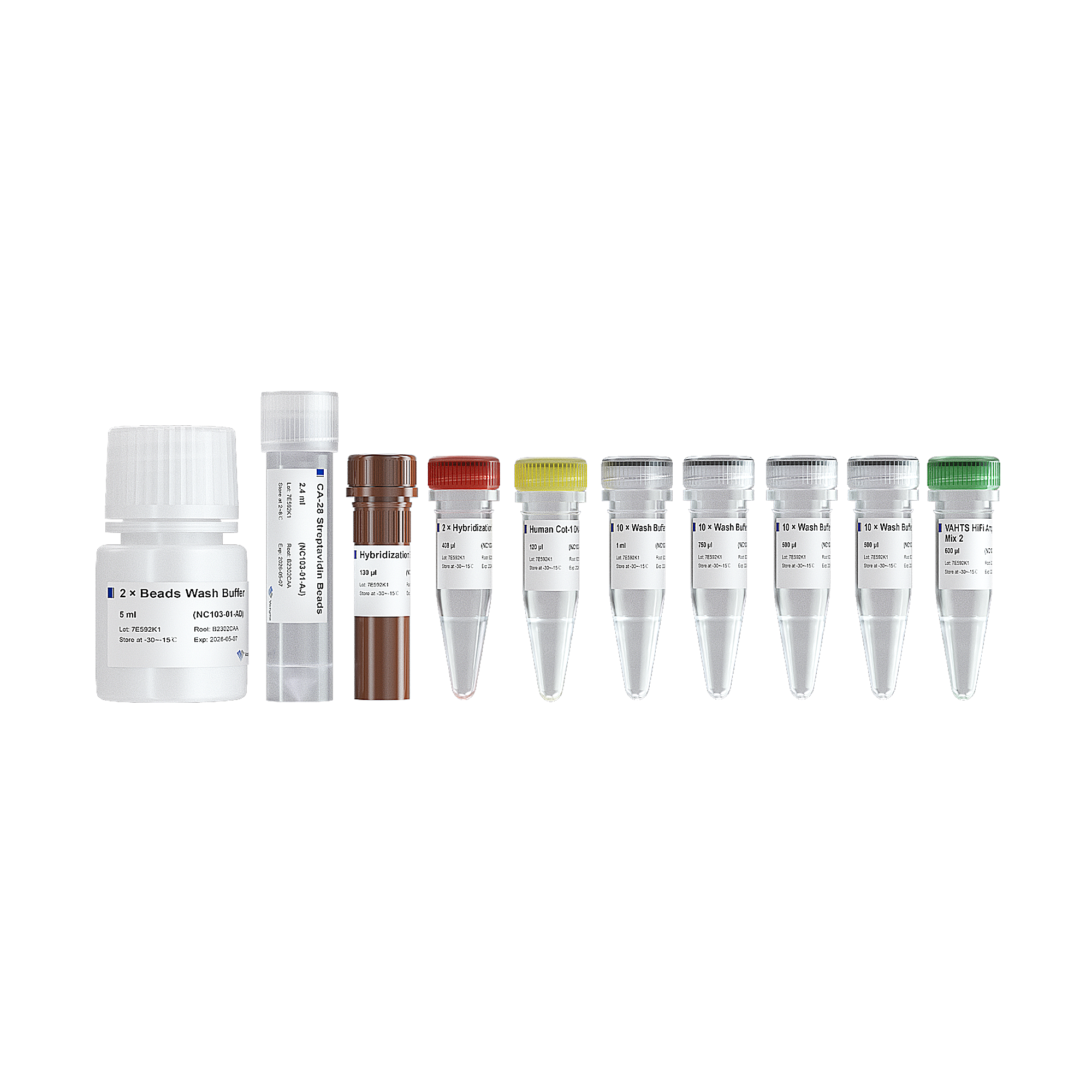 NC103-02 | VAHTS Target Capture Hybridization and Wash Kit Clinisciences