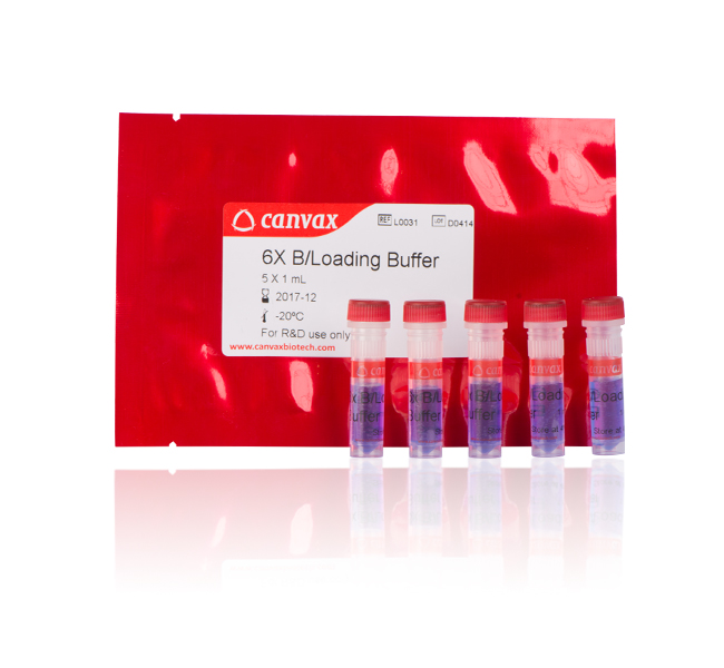 6× B Loading Buffer – Canvax DNA gel electrophoresis dye 6× B Loading Buffer – Canvax DNA gel electrophoresis dye