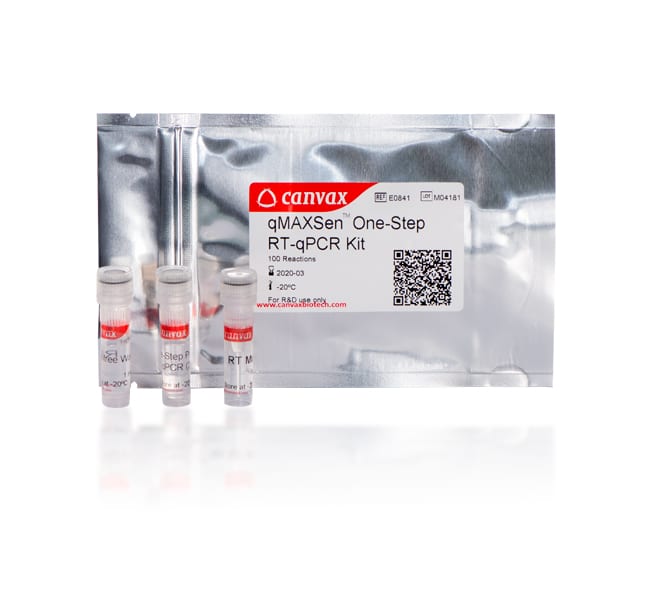 qMAXSen One-Step Green RT-qPCR Kit High Rox – Canvax