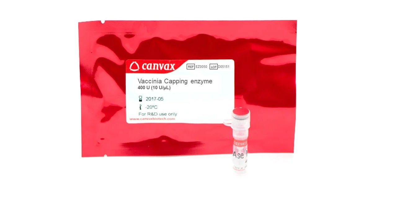 Vaccinia Capping Enzyme – RNA Cap Structure Formation | Canvax Canvax Vaccinia Capping Enzyme 400 U