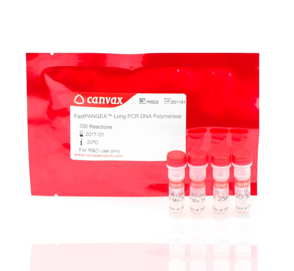 FastPANGEA™ Long PCR DNA Polymerase – High-fidelity enzyme for long-range DNA amplification FastPANGEA™ Long PCR DNA Polymerase – High-fidelity enzyme for long-range DNA amplification