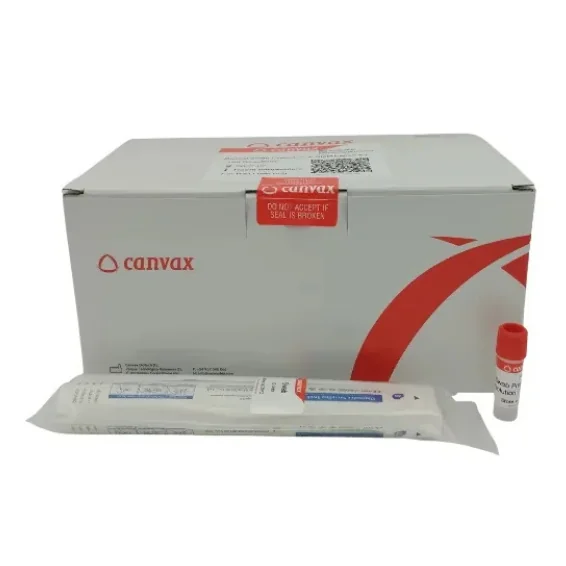 Buccal Swab Collection & Stabilization Kit | Canvax Canvax buccal swab collection kit with swab and stabilization solution
