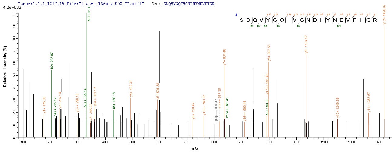 LC-MS Analysis 1- Recombinant protein Porphyromonas rgpA
