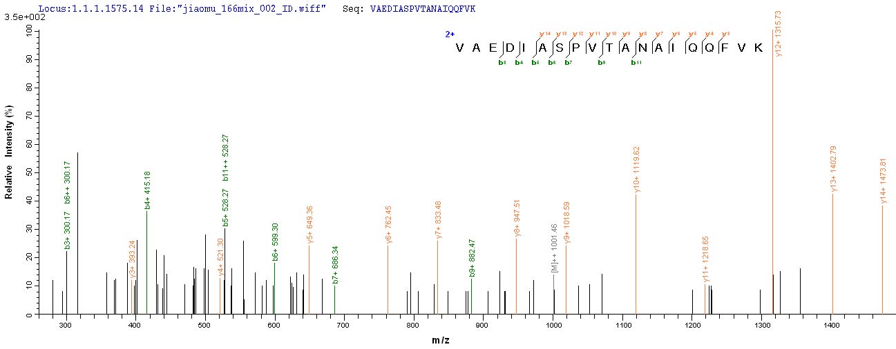 LC-MS Analysis 2- Recombinant protein Porphyromonas rgpA