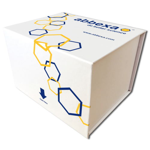 Uridine Triphosphate (UTP) CLIA Kit