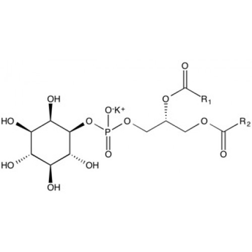 Phosphatidylinositol (50%)
