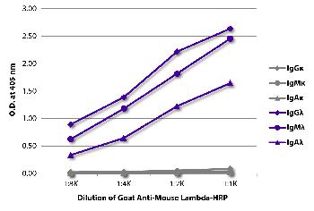 Goat Anti-Mouse Lambda-HRP Conjugated