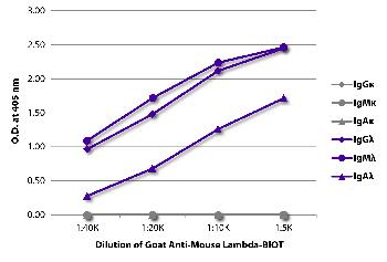 Goat Anti-Mouse Lambda-Biotin Conjugated