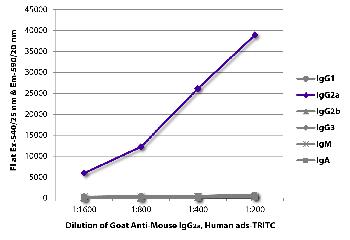 Goat Anti-Mouse IgG2a, Human ads-TRITC