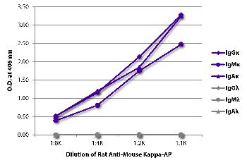 Rat Anti-Mouse Kappa-AP