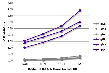 Rat Anti-Mouse Lambda-HRP Conjugated