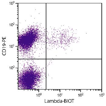 Rat Anti-Mouse Lambda-Biotin Conjugated
