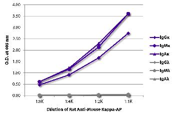 Rat Anti-Mouse Kappa-AP