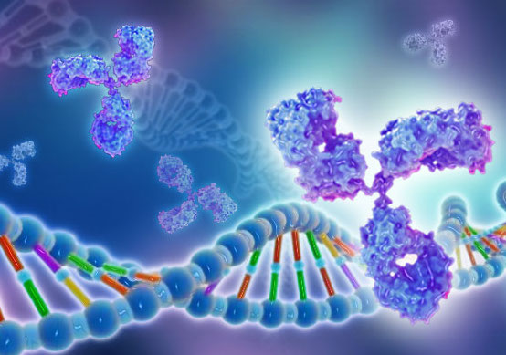 Recombinant Human Nanog Homeobox Pseudogene 8