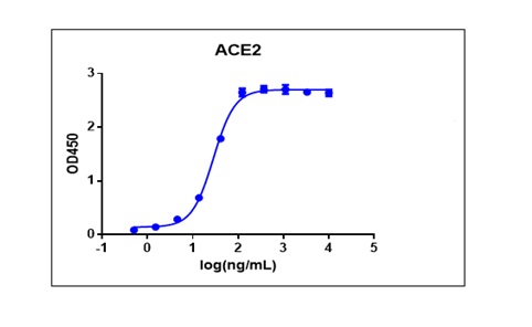 SARS-CoV-2 Spike protein (RBD, His Tag)