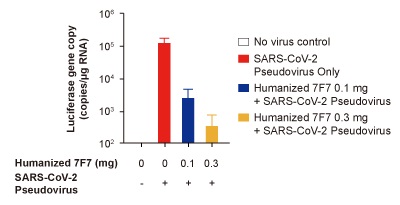<i>In vivo</i> Neutralization