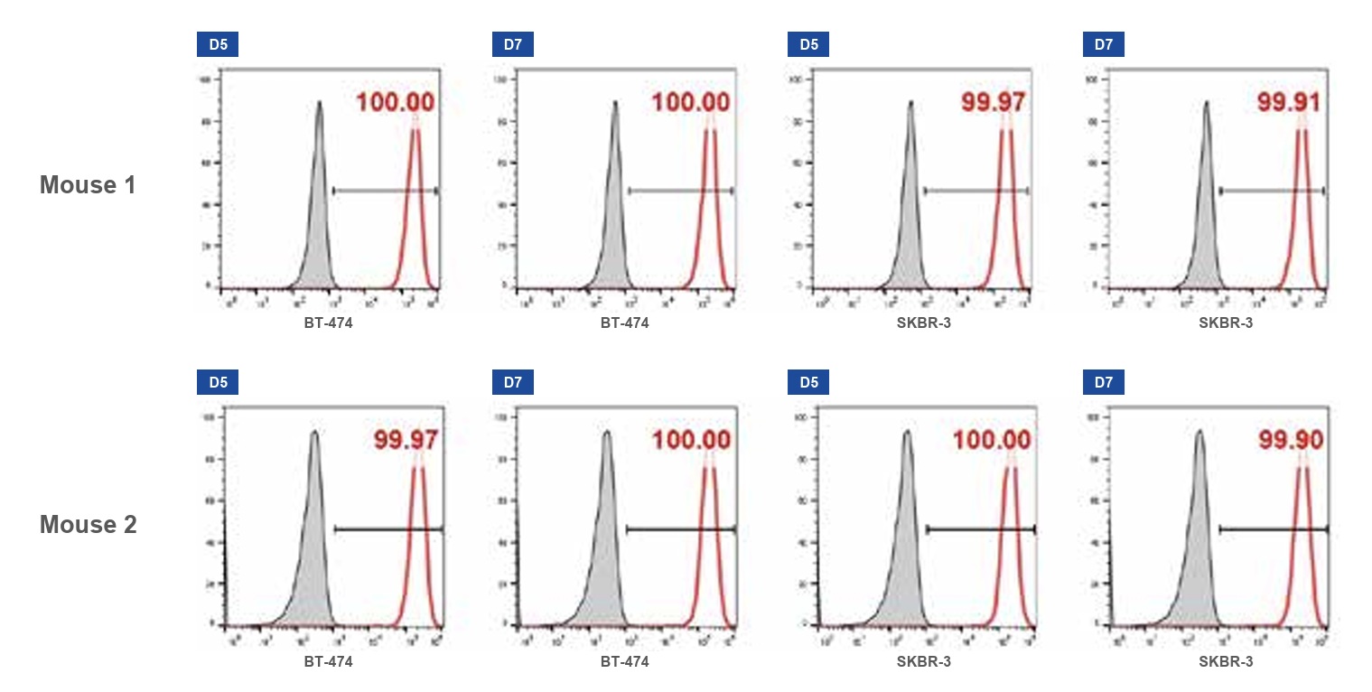 Antibody Biologic mRNA