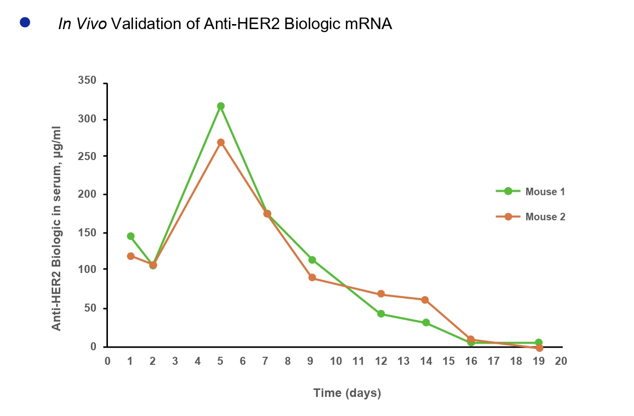 Antibody Biologic mRNA