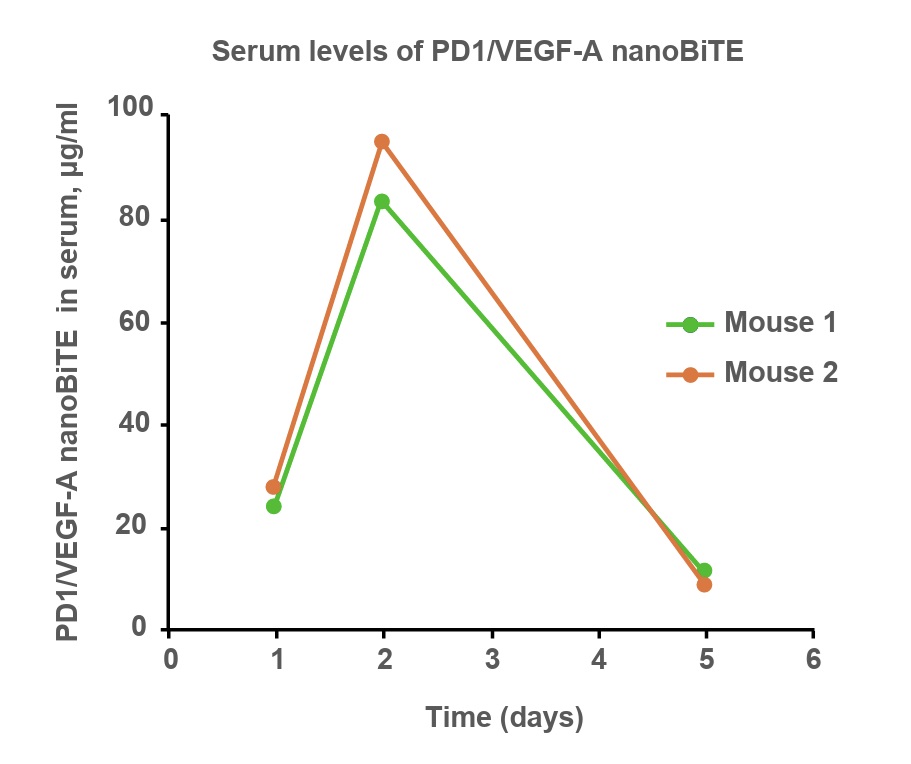 nanoBiTE mRNA