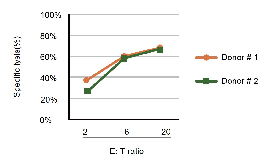 nanoCAR-T mRNA