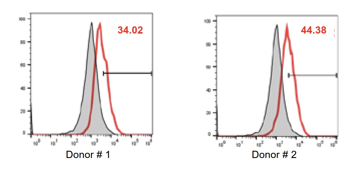 nanoCAR-T mRNA