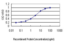 Sandwich ELISA (Recombinant protein)