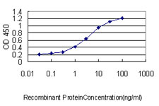 Sandwich ELISA (Recombinant protein)