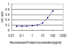 Sandwich ELISA (Recombinant protein)