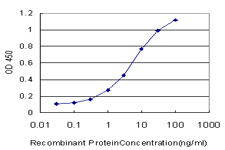Sandwich ELISA (Recombinant protein)