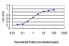 Sandwich ELISA (Recombinant protein)