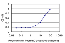 Sandwich ELISA (Recombinant protein)