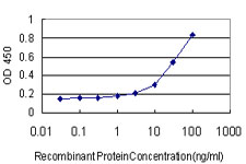 Sandwich ELISA (Recombinant protein)