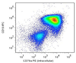 Flow Cytometry
