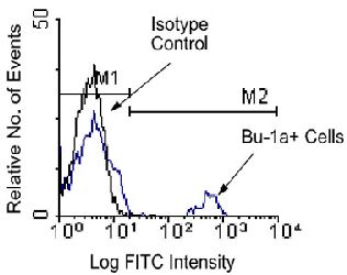 Flow Cytometry