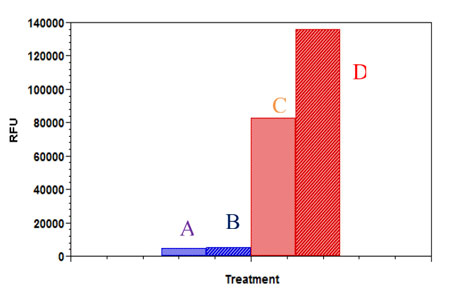 Comparison of fatty acid uptake by 3T3-L1 adipocytes and fibroblast.
