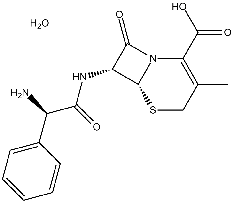 Cephalexin monohydrate