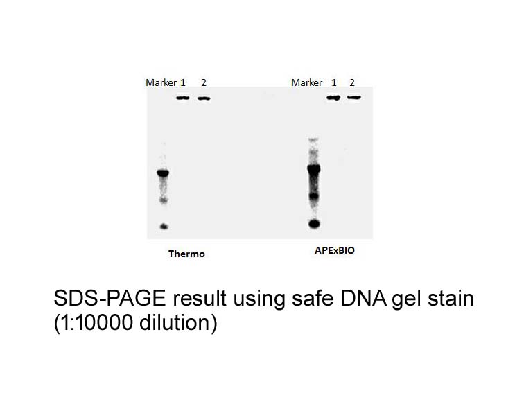 Safe DNA Gel Stain