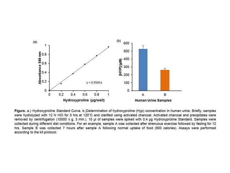 K2083100 assays Hydroxyproline Colorimetric Assay Kit Clinisciences