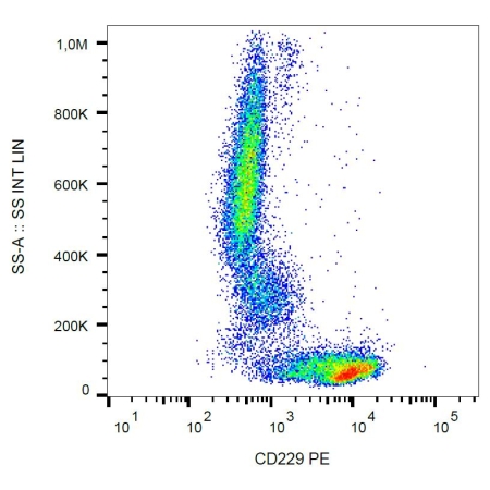 Human peripheral blood cells