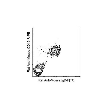 BALB/cplenocytes