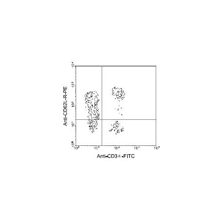 BALB/cplenocytes