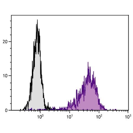TNFa stimulated human endothelial cell line HUV-EC-C