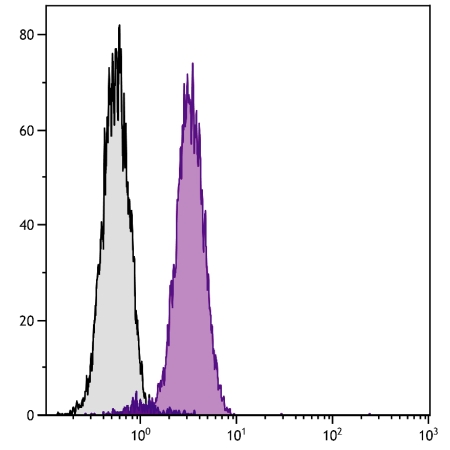 Human T cell leukemia cell line Jurkat