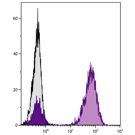 Human peripheral blood lymphocytes