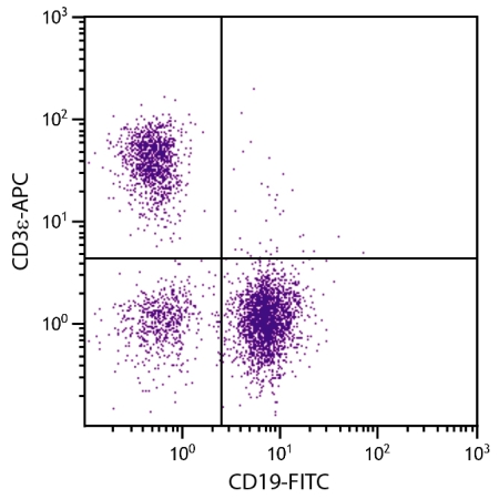 BALB/c mouse splenocytes