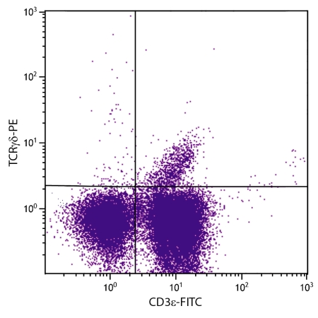 C57BL/6 mouse mesenteric lymph node cells