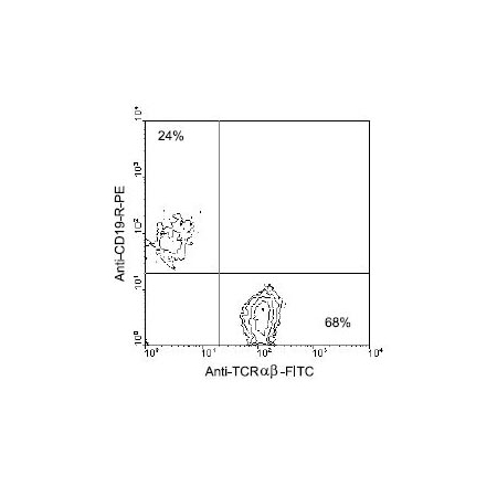 BALB/cplenocytes
