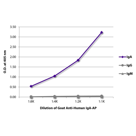 Purified human IgA, IgG, and IgM